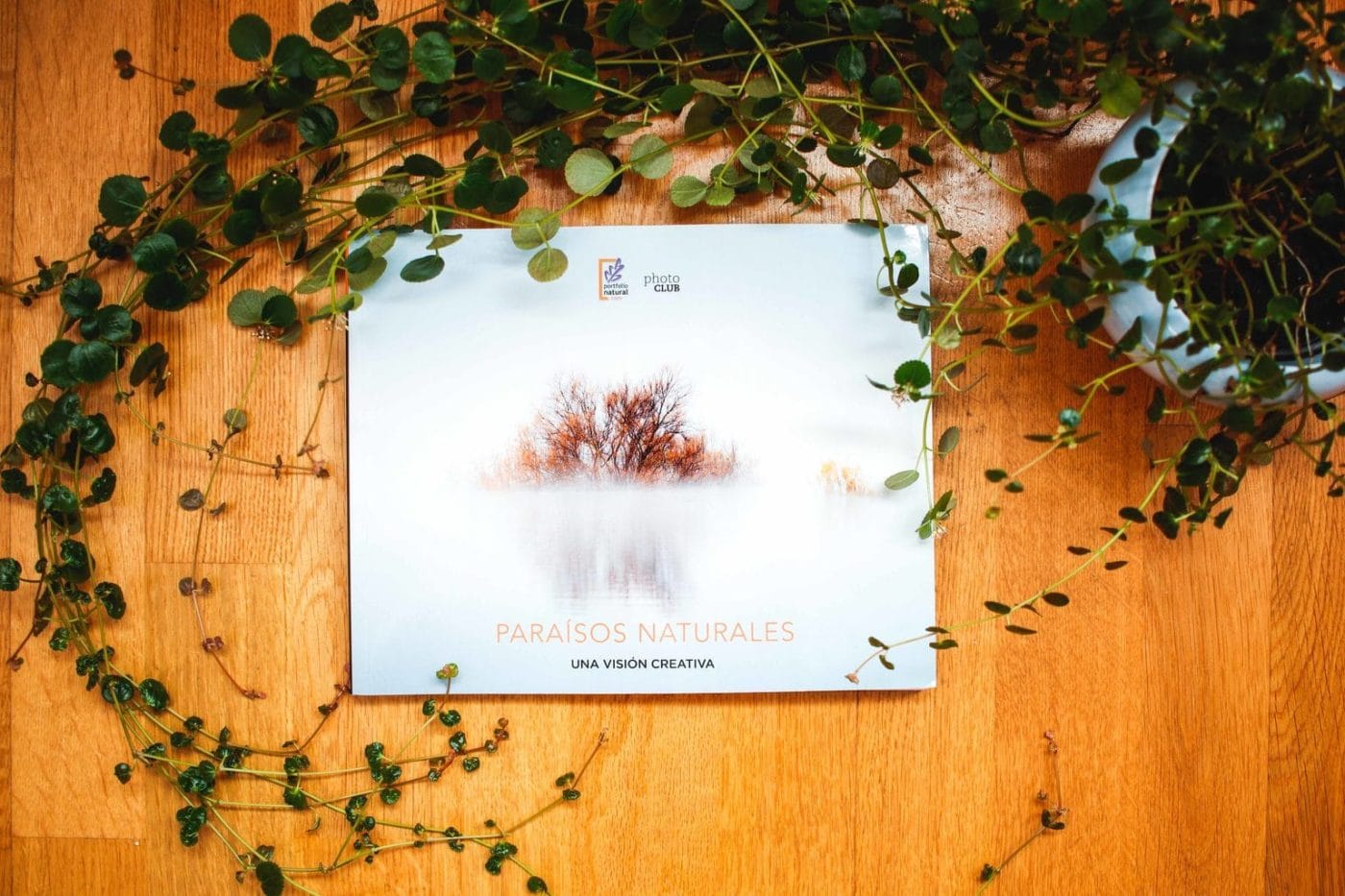 Paraísos Naturales (Una visión creativa): Reseña | Blog del Fotógrafo