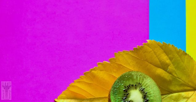 MARITAWE-The-colors-of-the-Kiwi