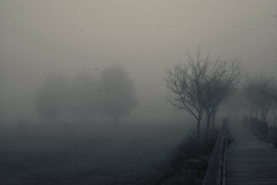 emitena-Puente hacia la bruma