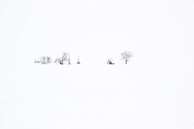 juan ortega_Winter
