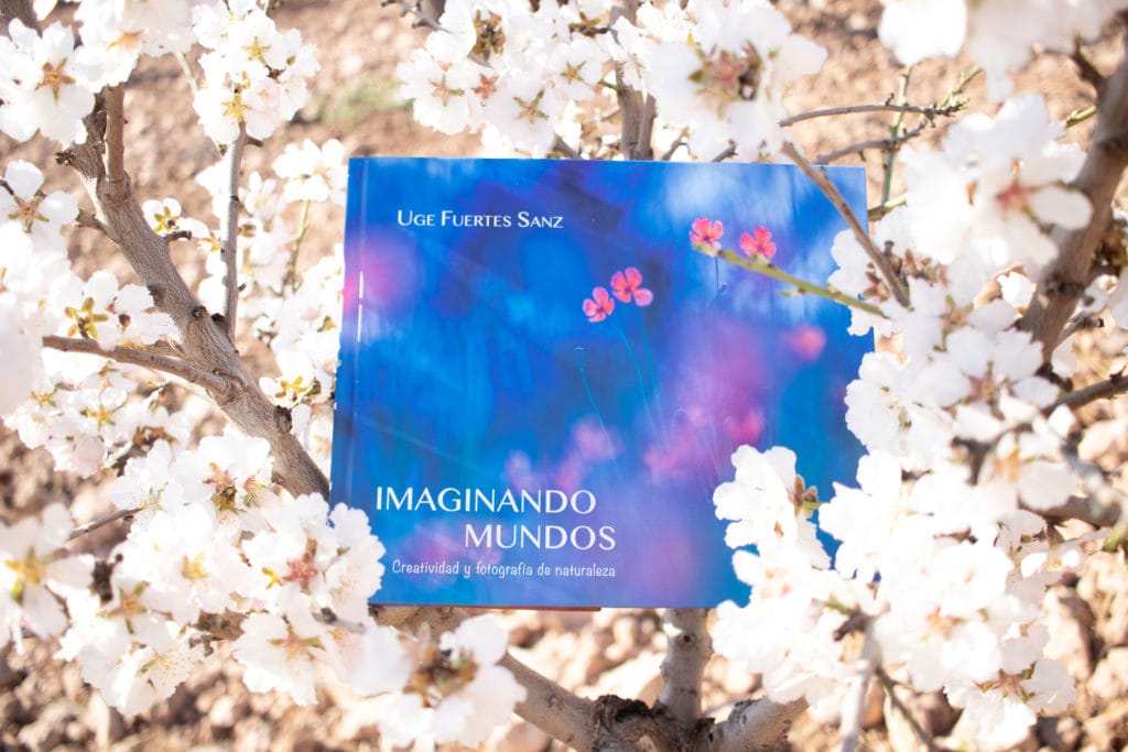 libro Imaginando Mundos entre flores de almendro