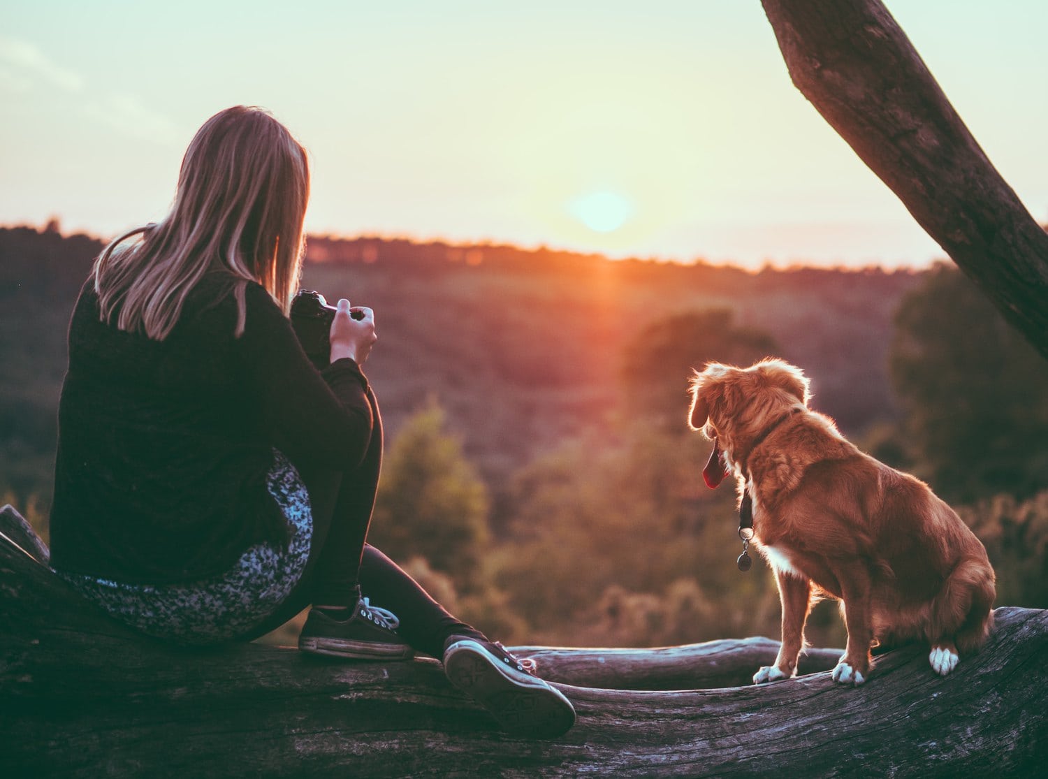 Fotógrafa y perro mirando atardecer