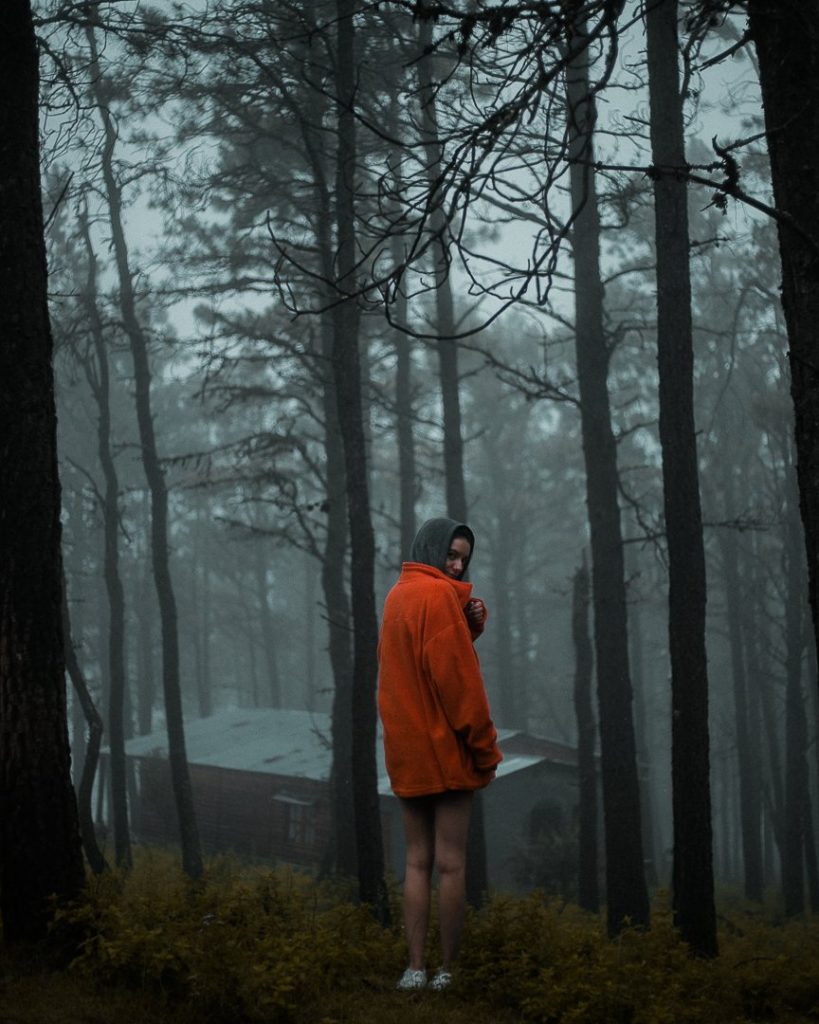 Chico de rojo en bosque gris