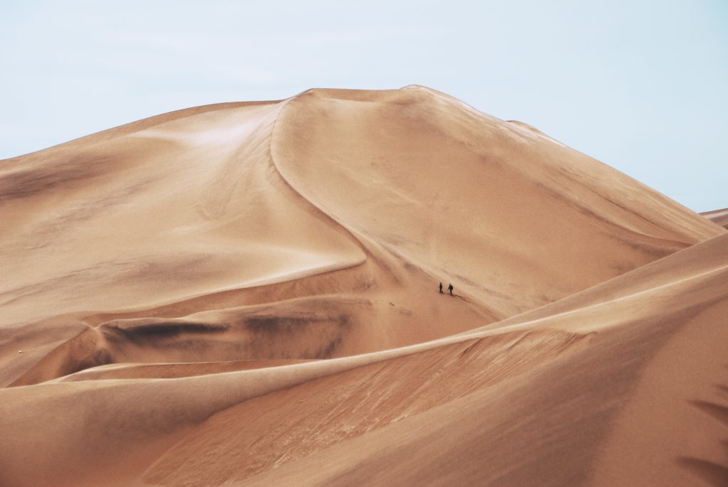 desierto duna paisaje