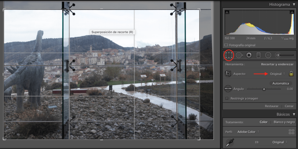 Captura de pantalla de recorte en lightroom