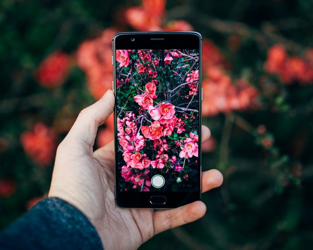 smartphone flores