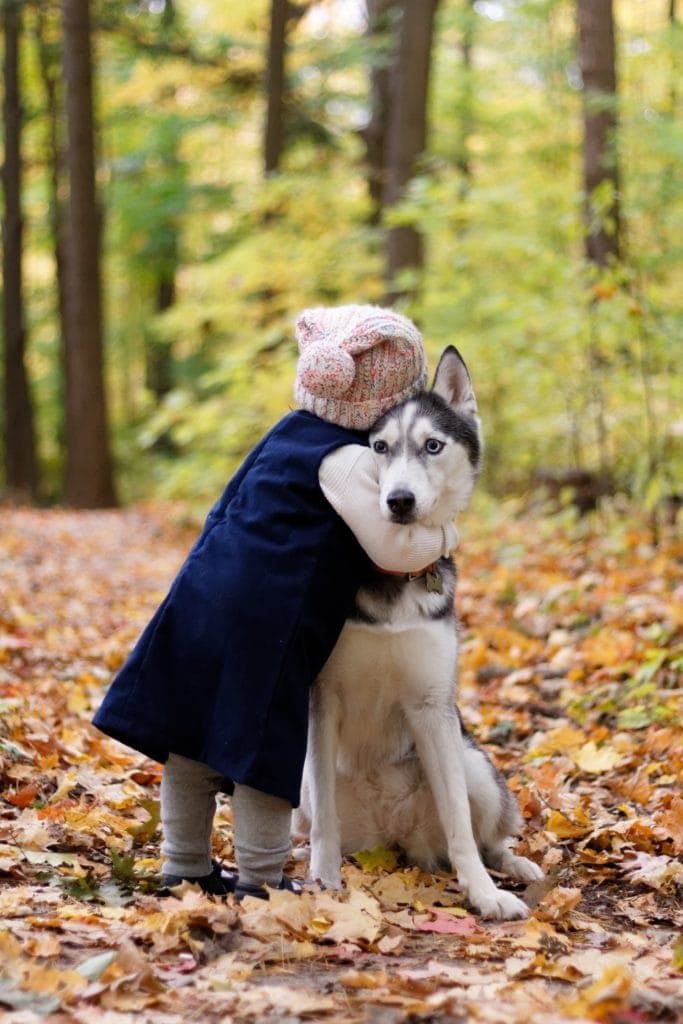 Niña abrazando a un perro en el bosque
