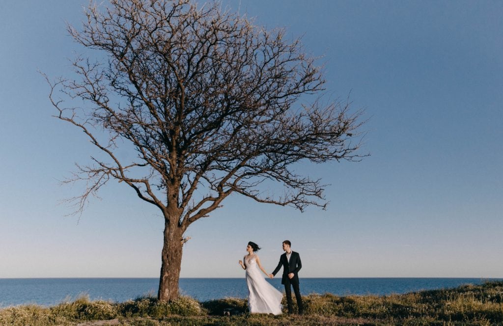 Pareja vestida de novios bajo árbol y con mar de fondo