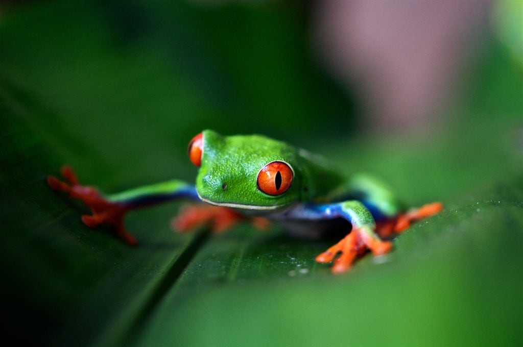 destinos fotográficos costa rica