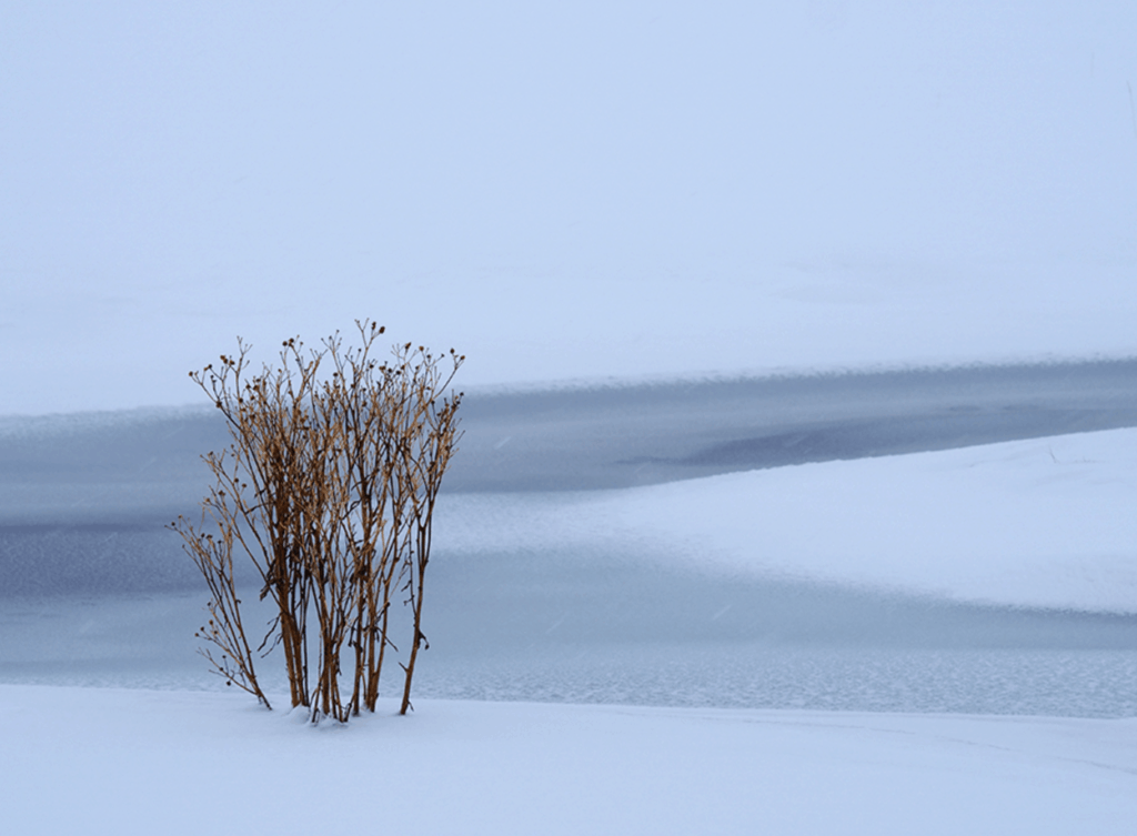 Olympus OM-D E-M5 Mark II nieve