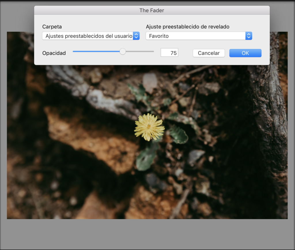 Captura de pantalla de plug-in en Lightroom