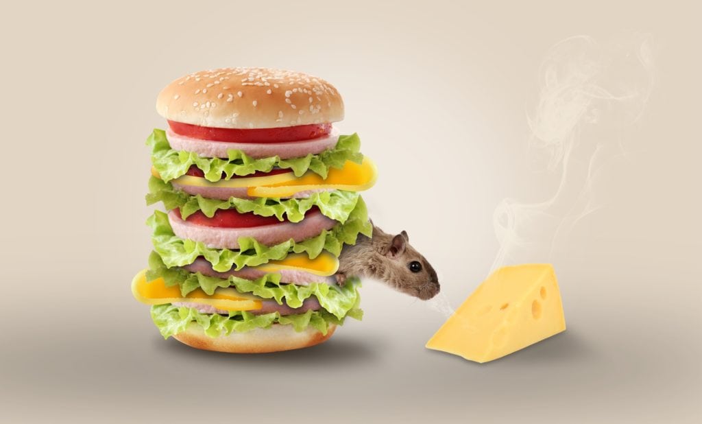 fotografia publicitaria hamburguesa