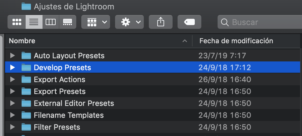 Carpeta Develop Presets