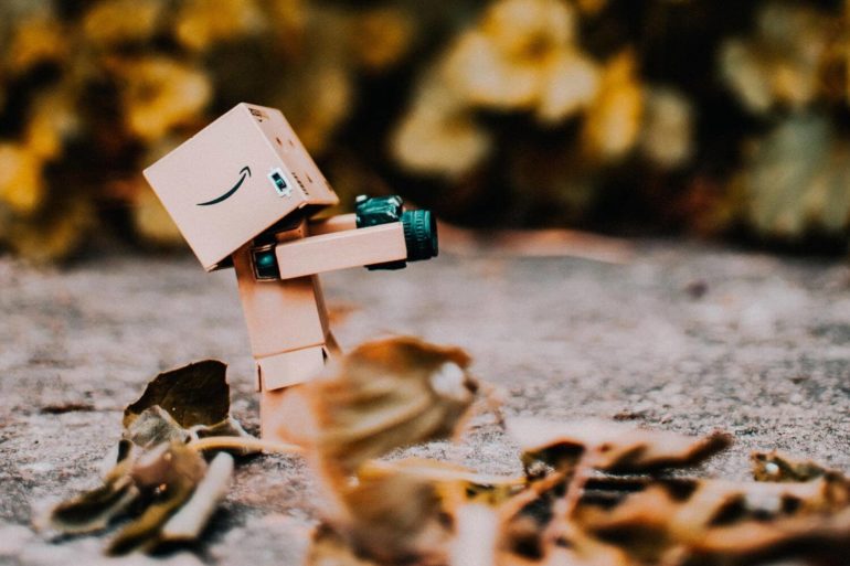 Mascota amazon Danbo haciendo fotos