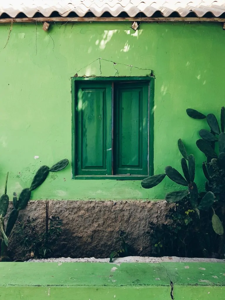 Fachada verde con ventana de color verde y cactus