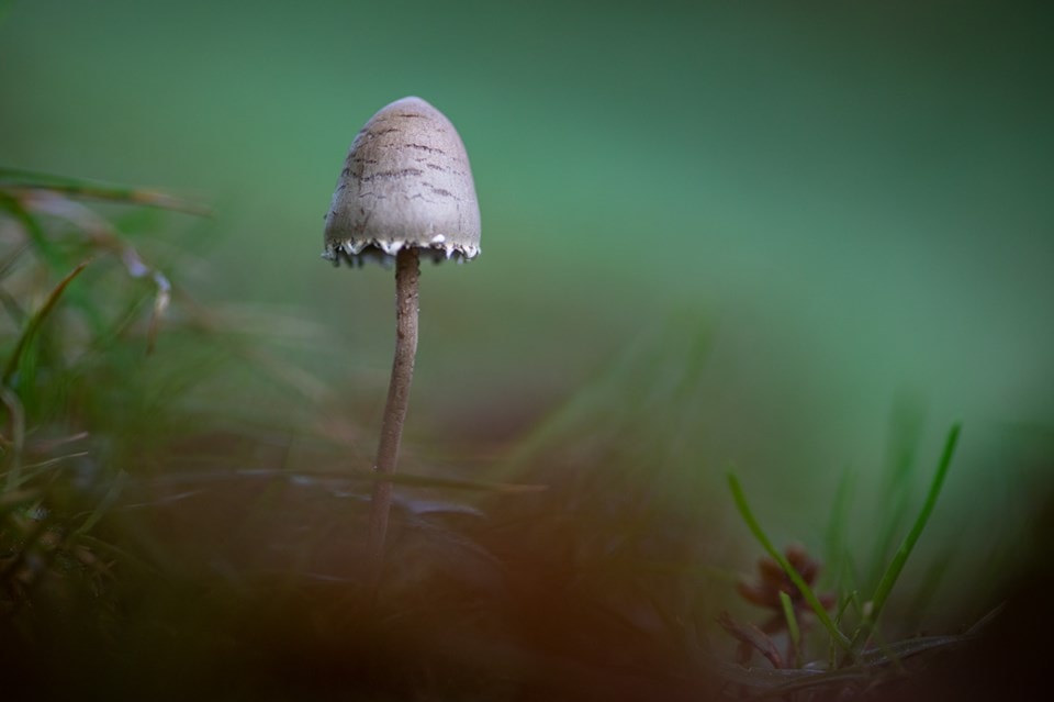 Ganadora fotoretoespecial de naturaleza