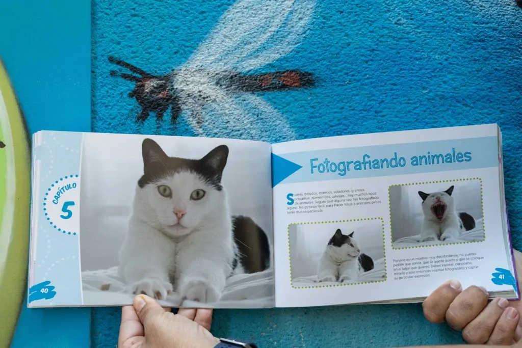 Inicio capítulo 5 libro Descubre la Fotografía