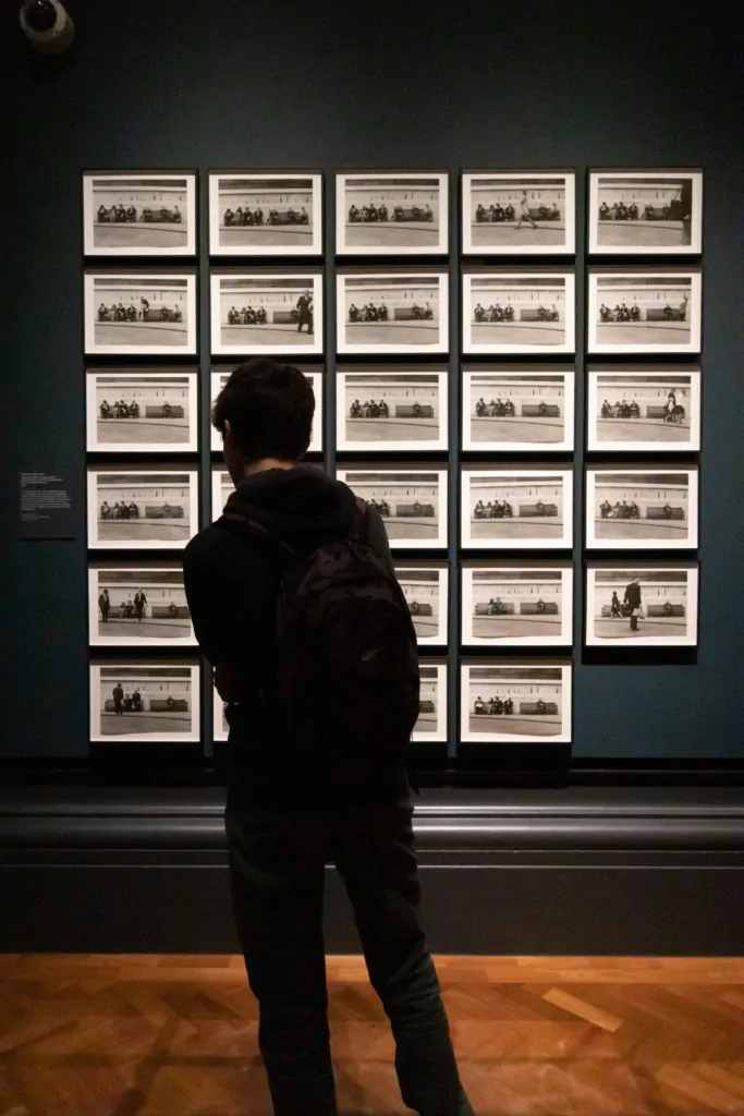 Joven observando exposición