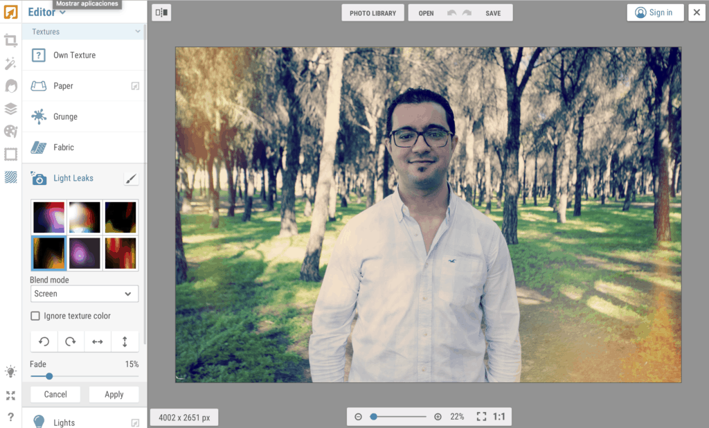 Interfaz del editor on line iPiccy
