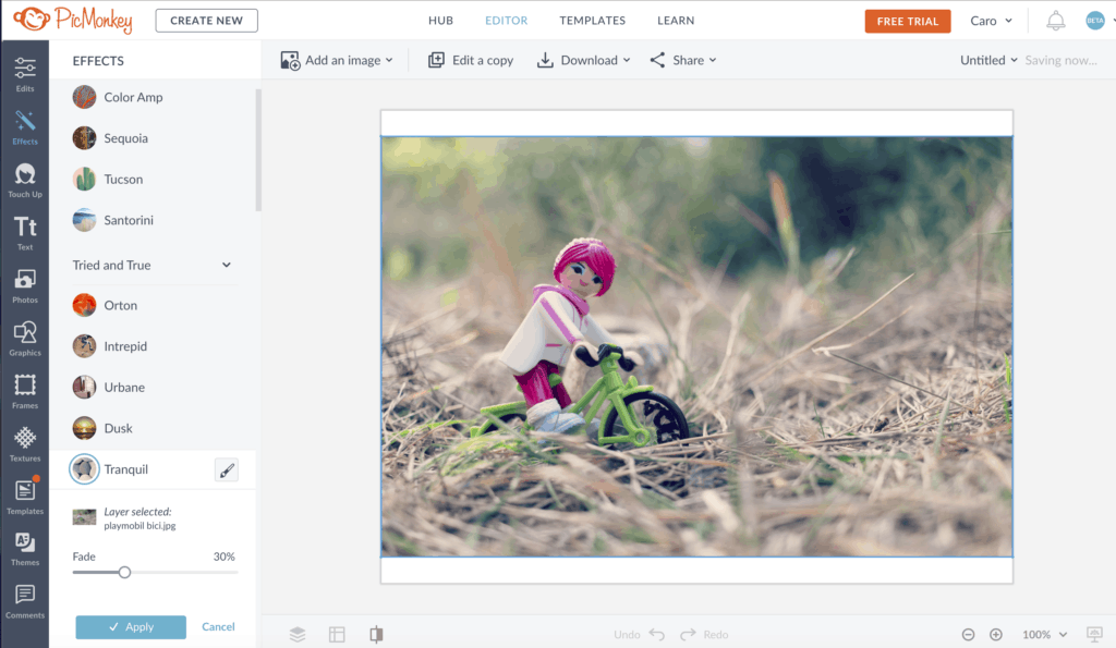 captura de pantalla del editor PicMonkey