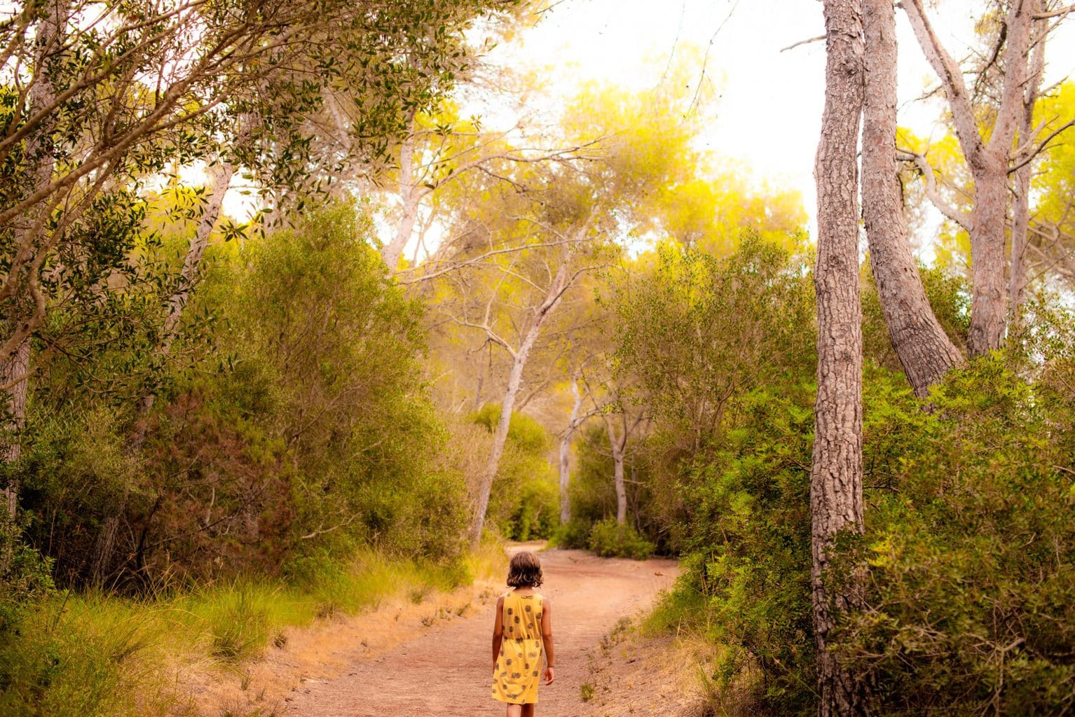 Fotografía de efecto Orton realizada con Lightroom