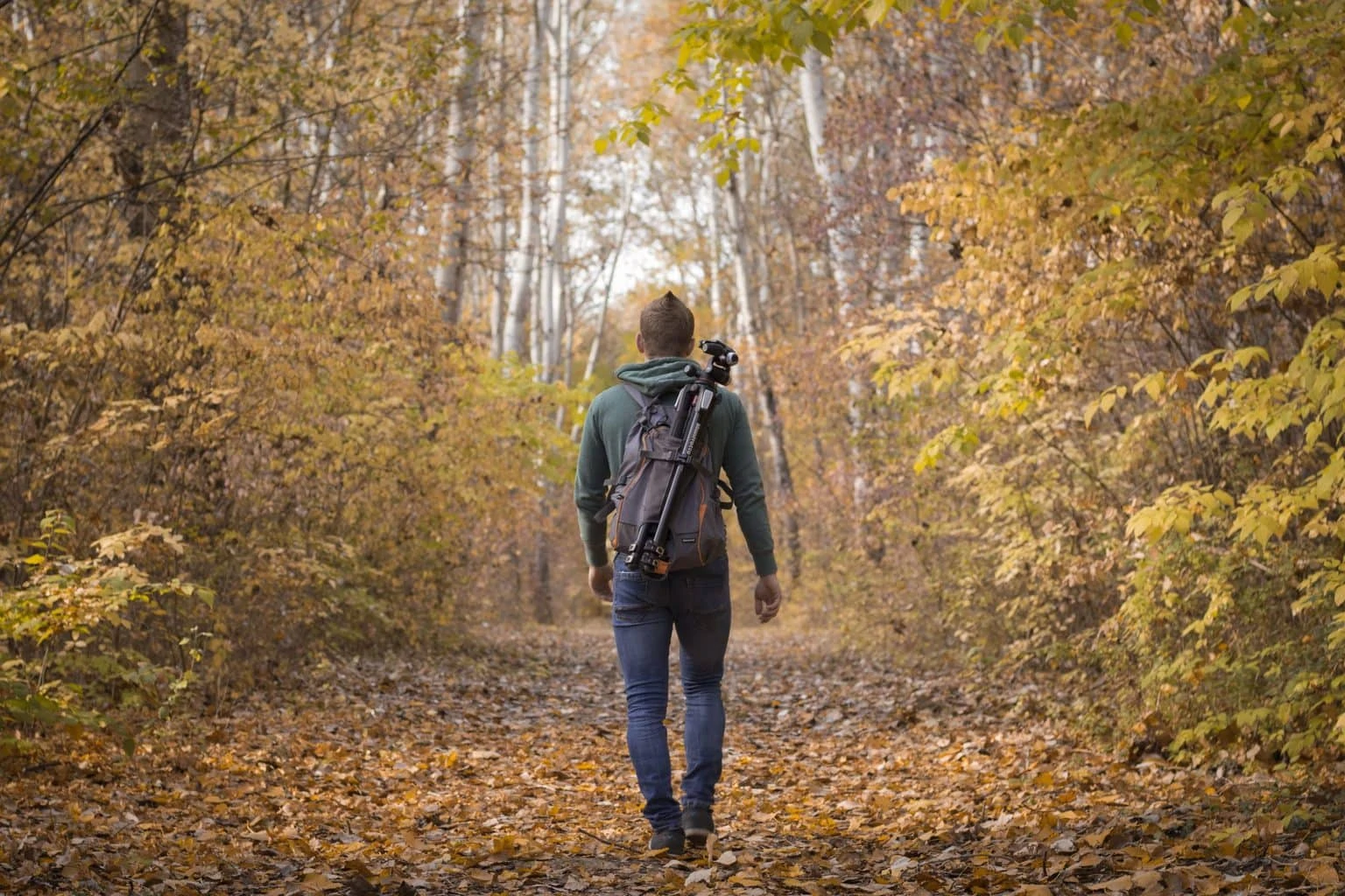 Fotógrafo caminando por un bosque con mochila y trípode a la espalda