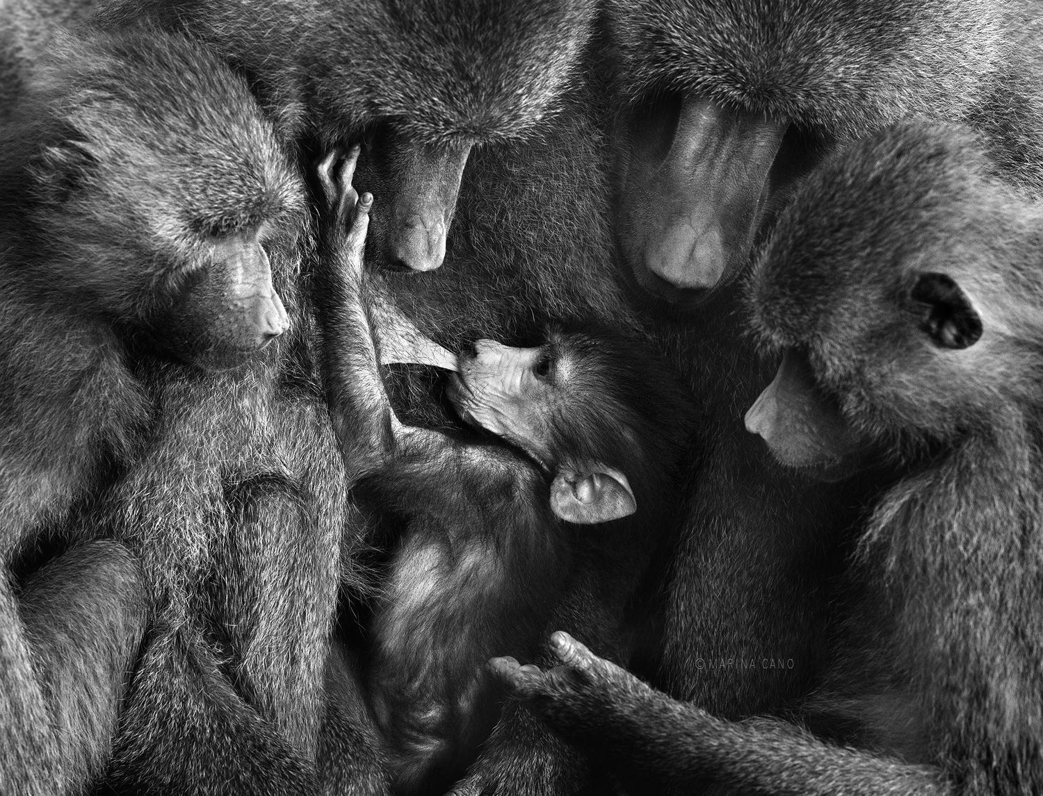 fotografía de naturaleza de Marina Cano