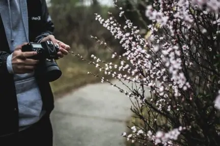 fotografo con plantas