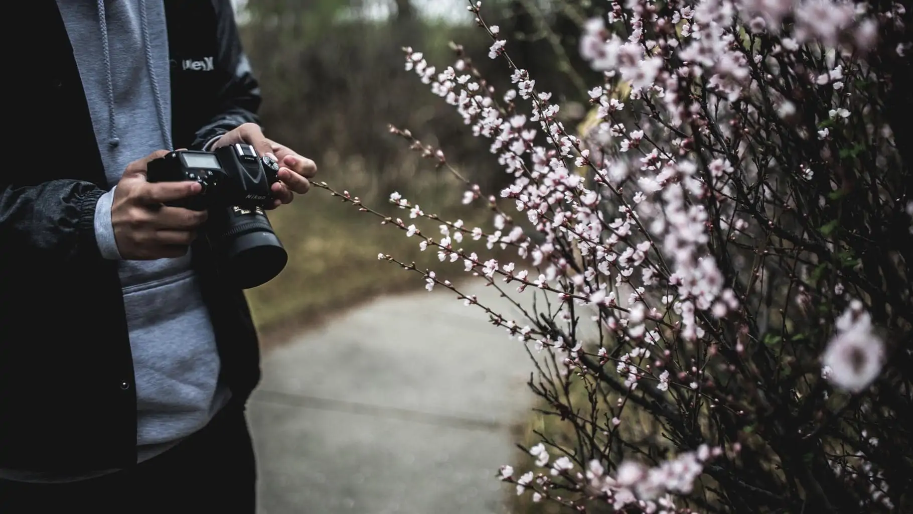 fotografo con plantas