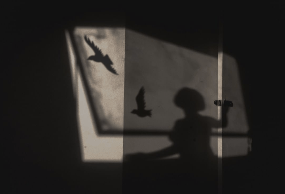 Fotografía de sombras ganadora del fotoreto48