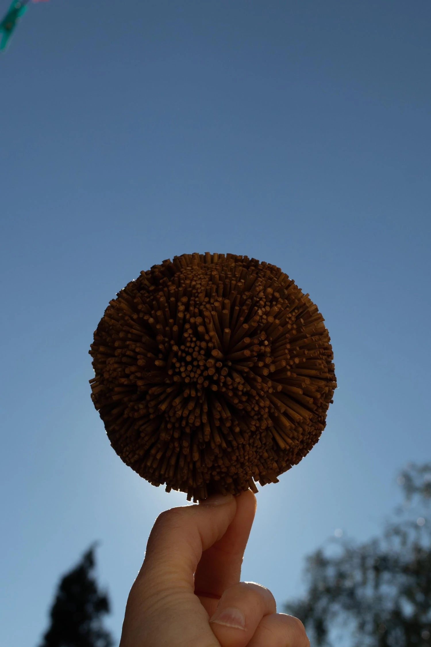 Backlit ball to show silhouette