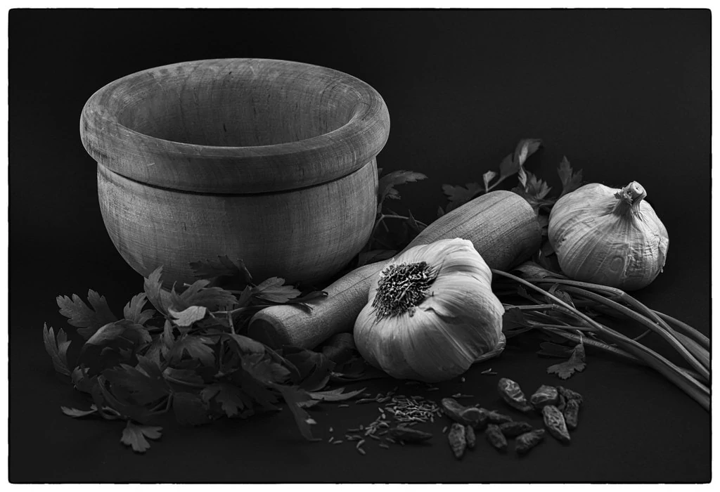 still life garlic black and white