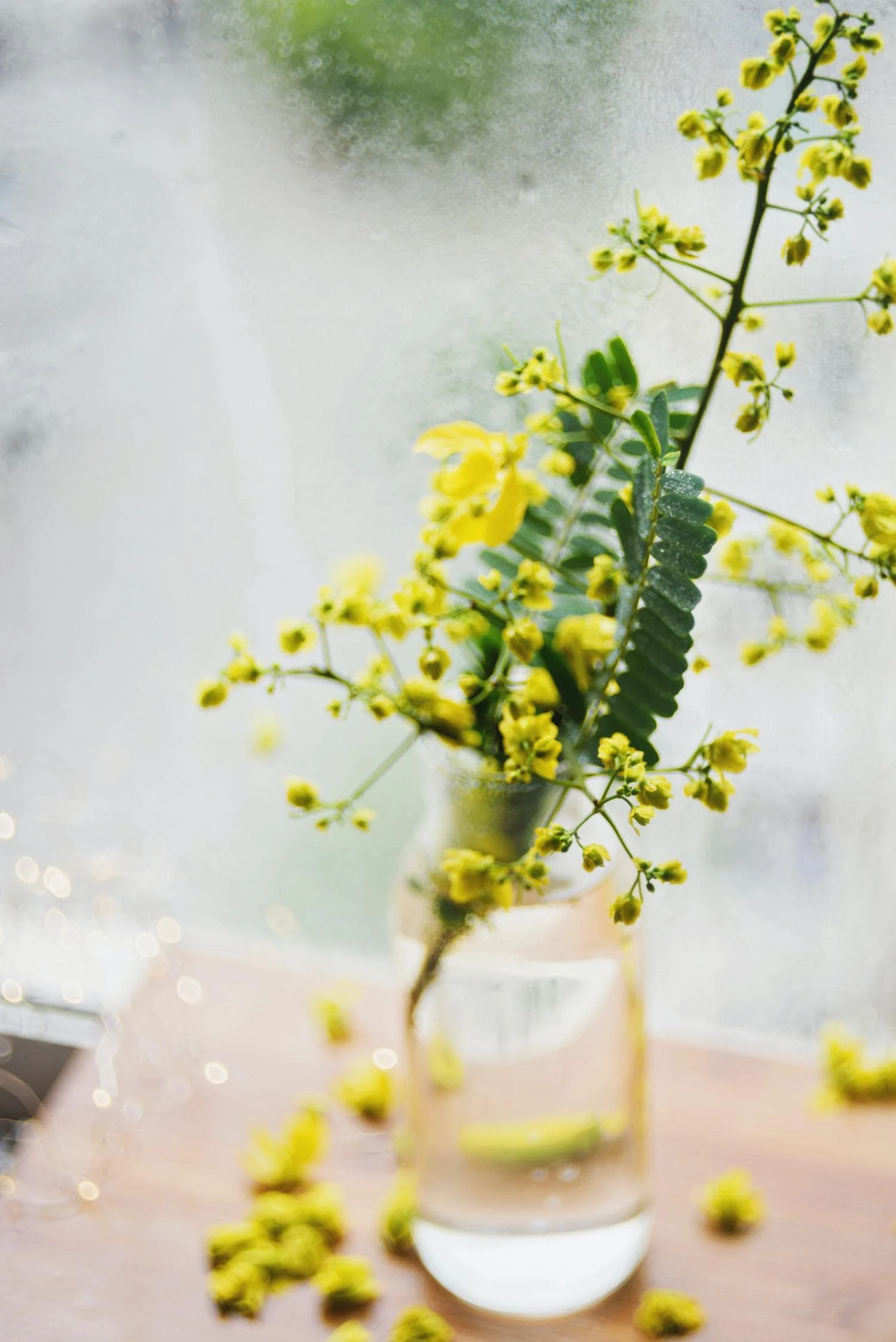 still life yellow flowers