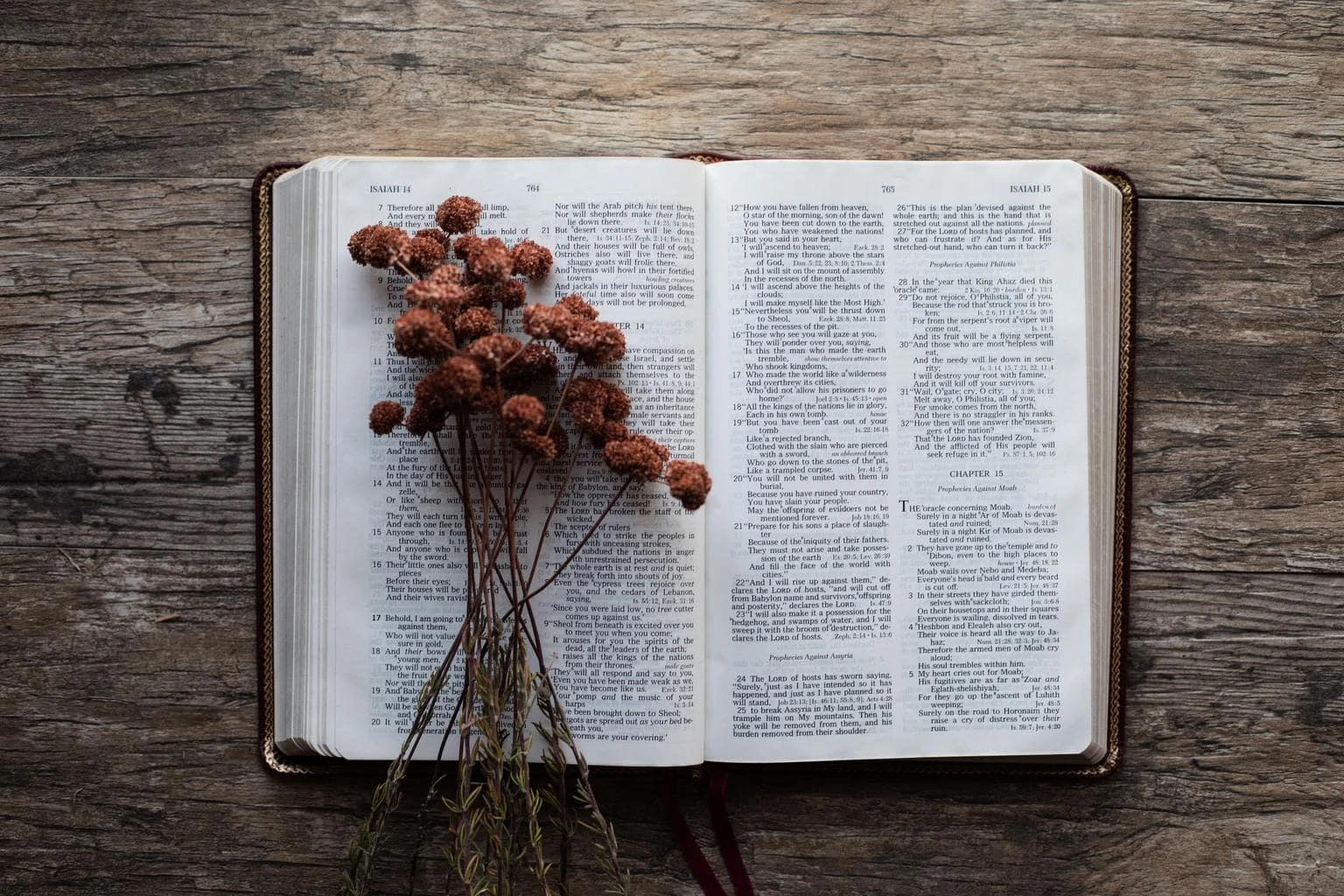 bible dried flowers