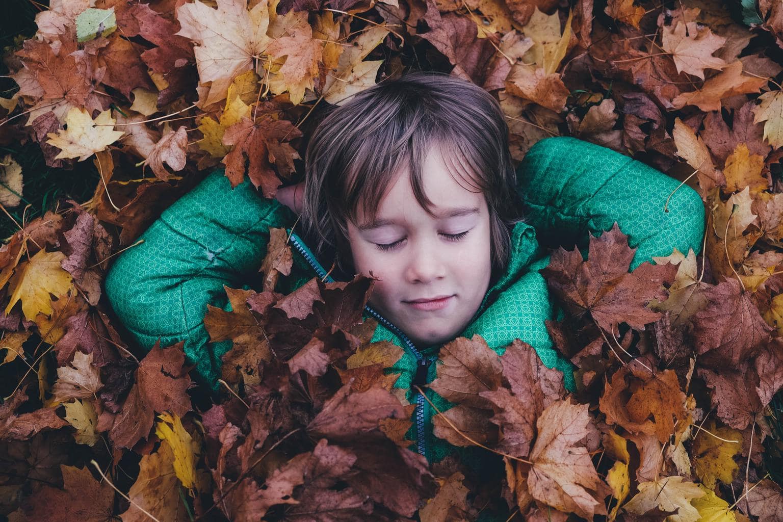 Portrait of boy in overhead perspective with background of autumn leaves