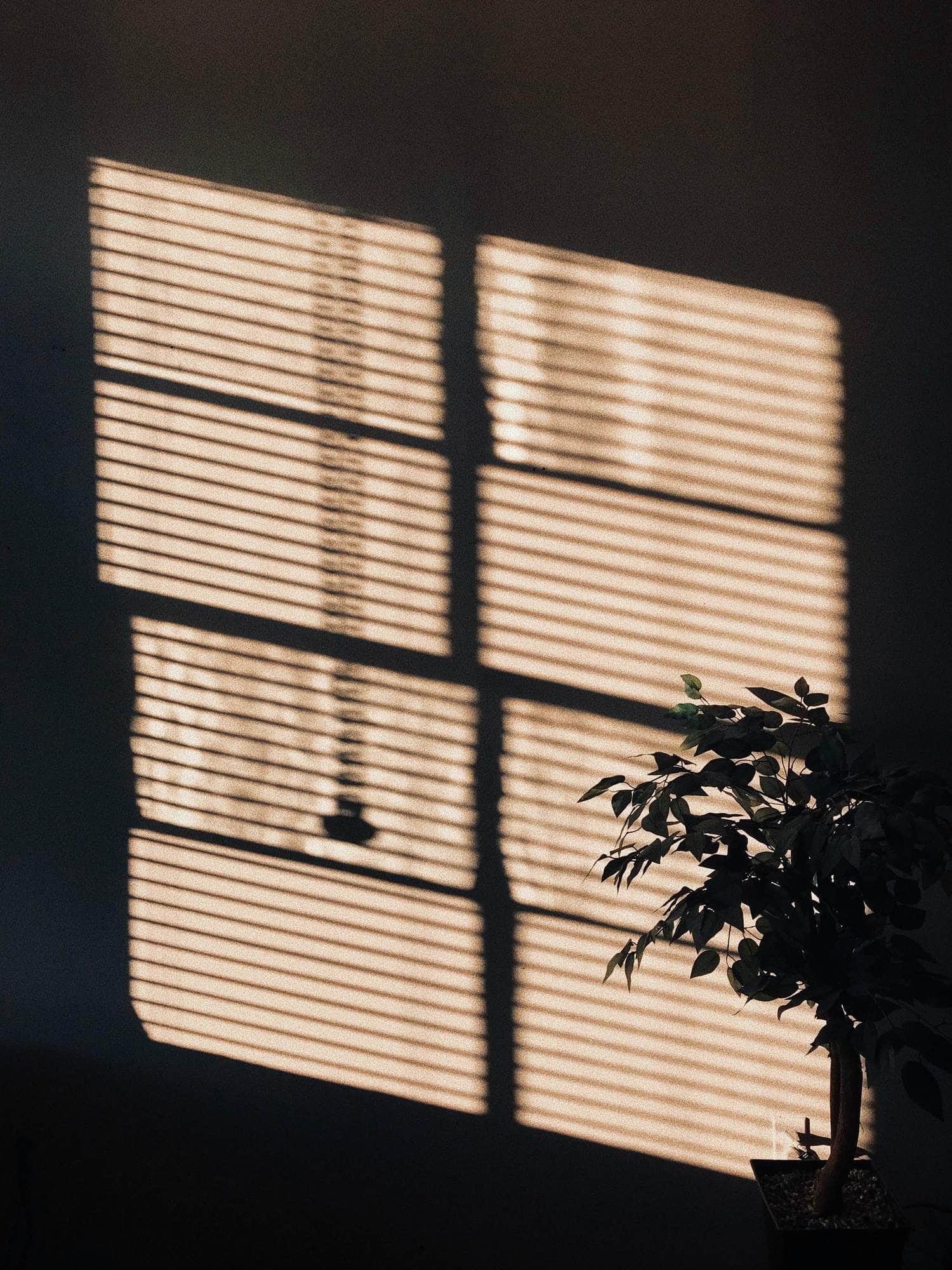 cortador Oposición admiración Imágenes con luz de ventana. Chute de inspiración | Blog del Fotógrafo