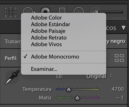 acciones básicas lightroom perfil de color