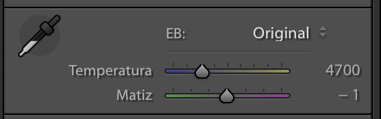 acciones básicas lightroom temperatura de color