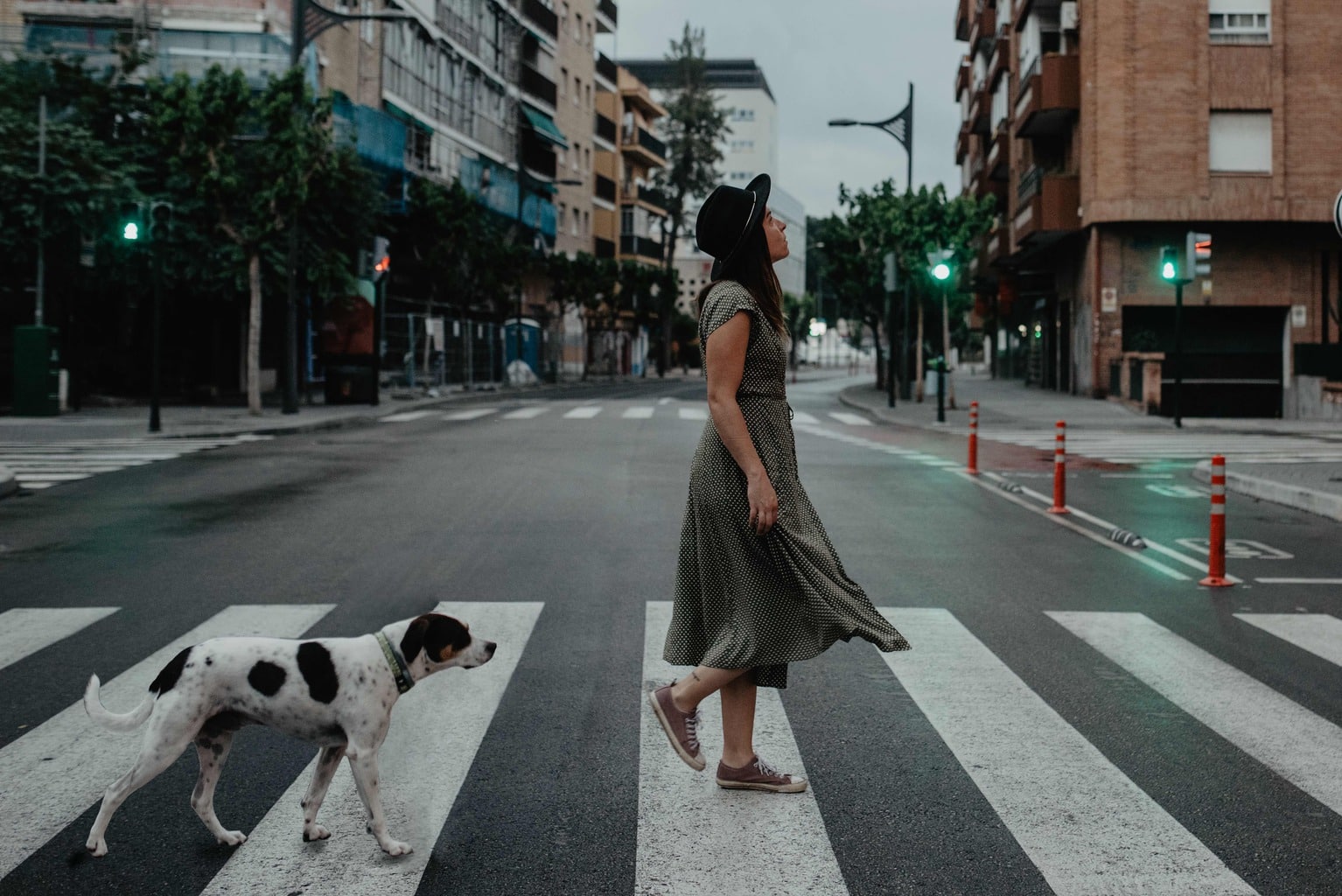 Chica y perro cruzando paso de peatones en autorretrato