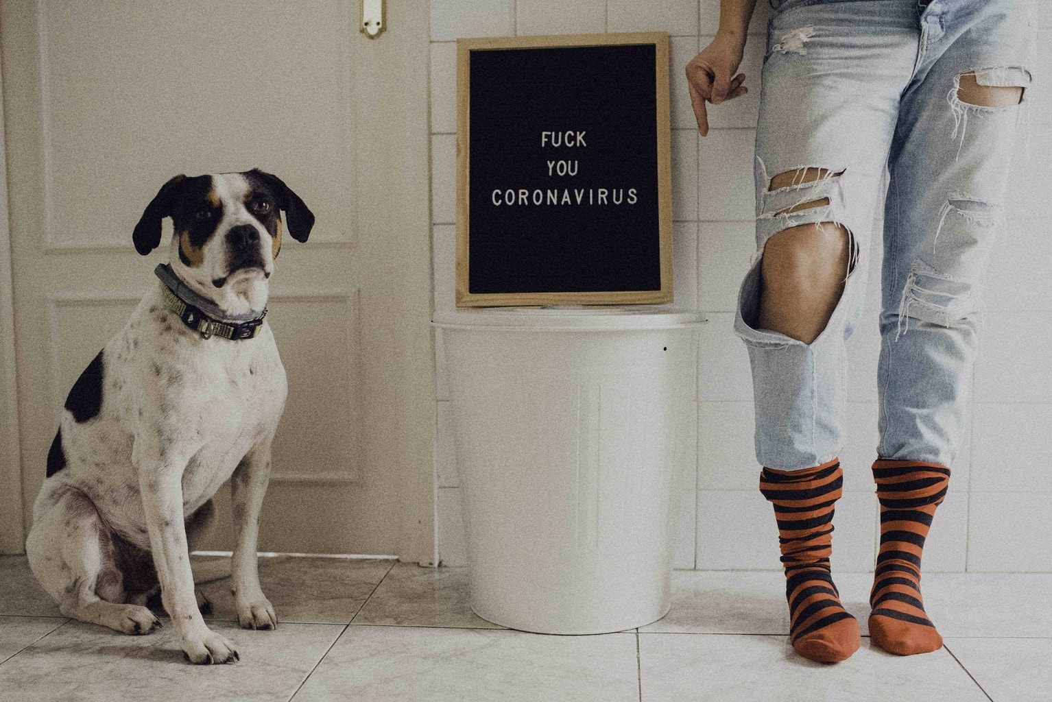 Autorretrato donde se ven solo las piernas y un perro y una pizarra con mensaje