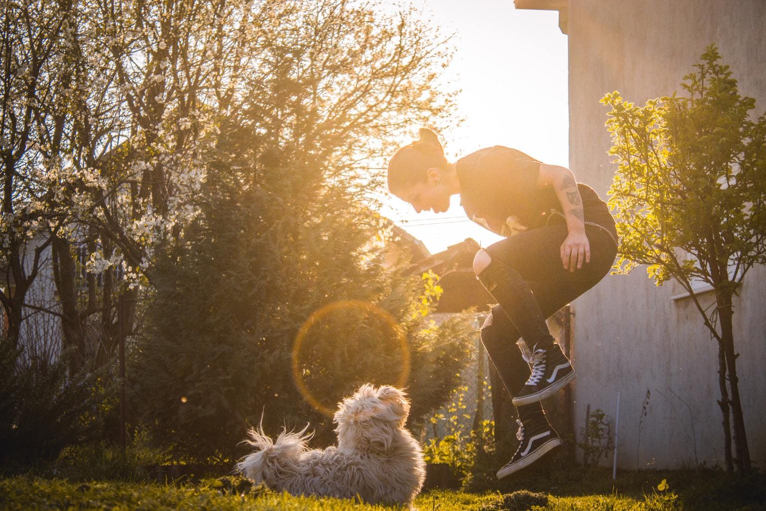 foto de perro con su dueña jugando