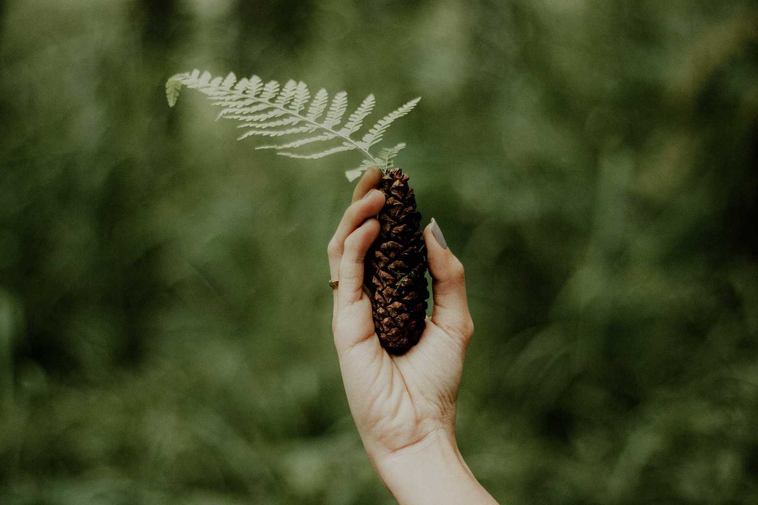 Fotografía de naturaleza para el fotoreto60