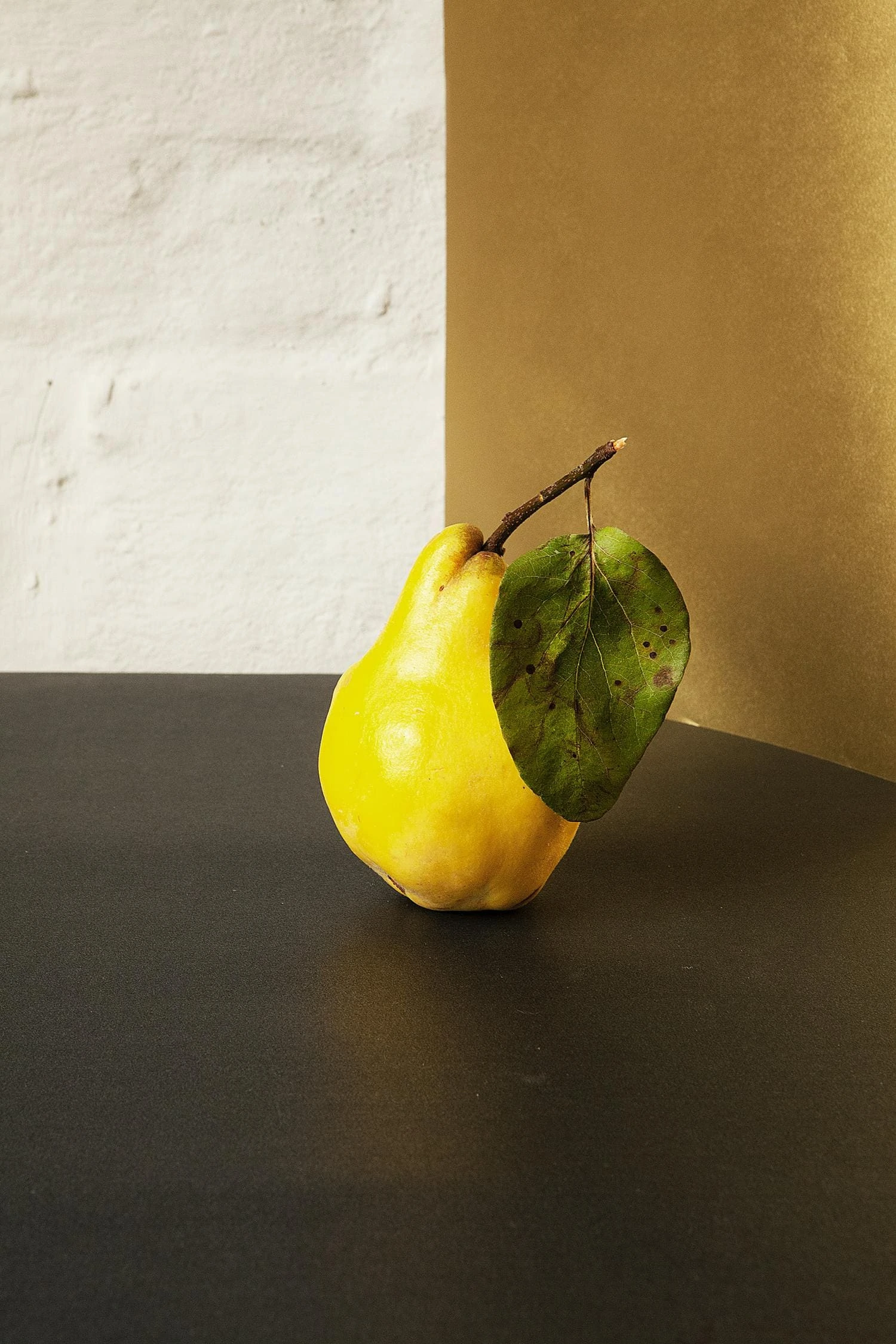 lemon composition yellow