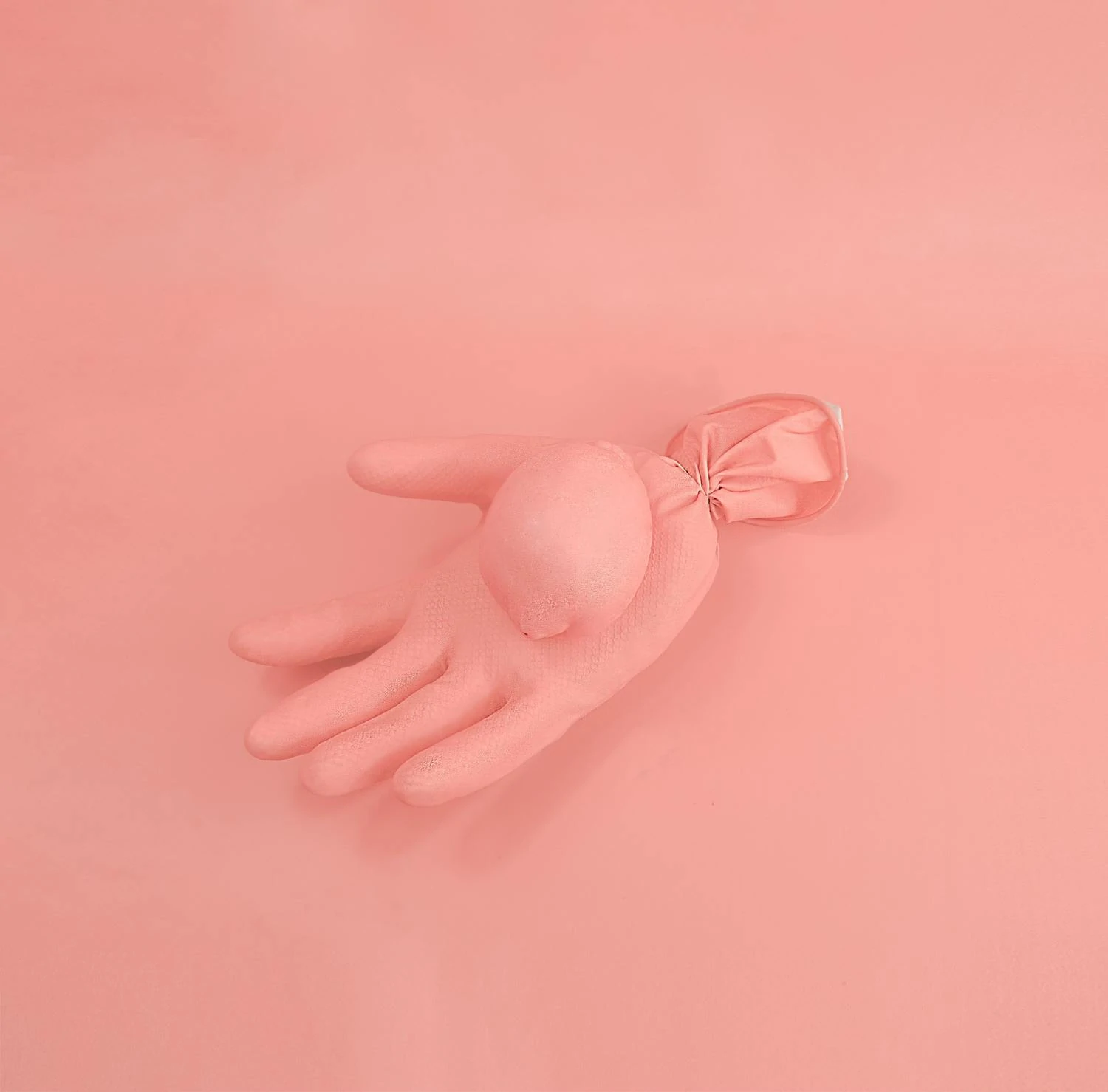 color pink glove still life