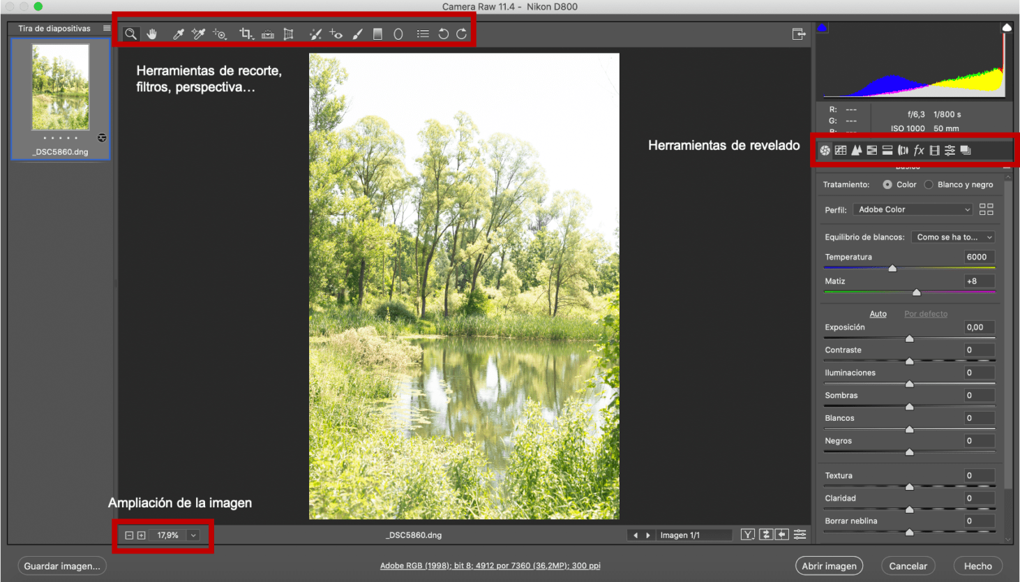 como instalar adobe camera raw en photoshop cs5 como instalar adobe camera raw en photoshop cs5