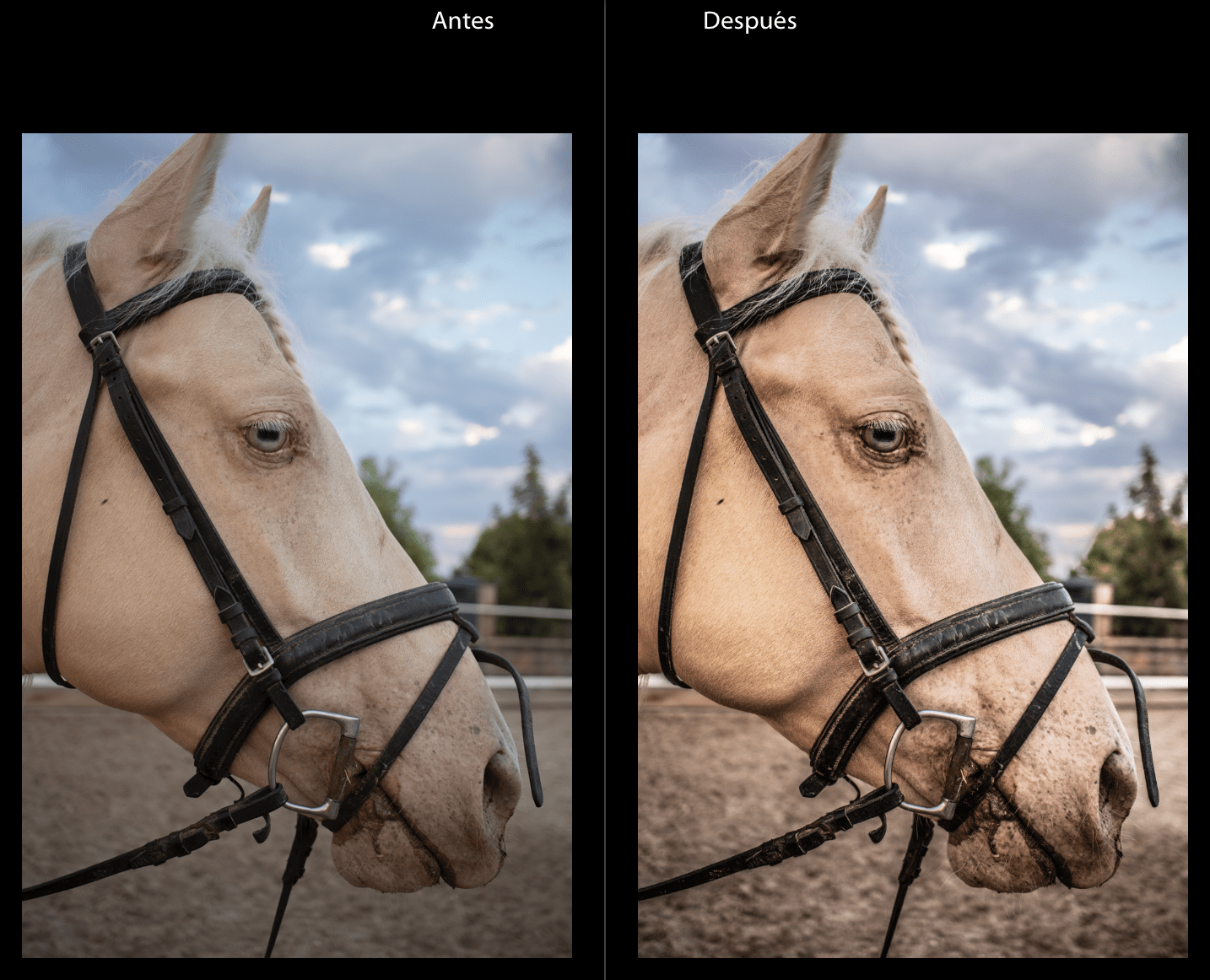Comparativa de imagen antes y después de aplicar preset en Lightroom