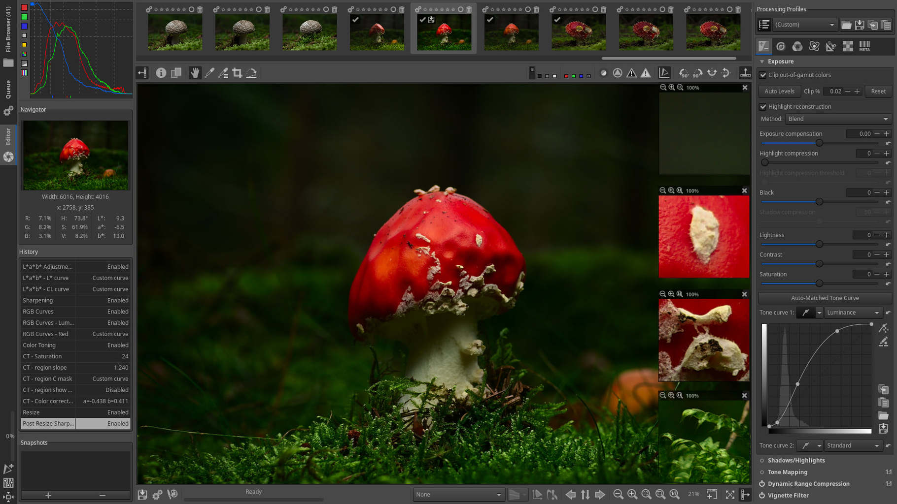 Interfaz del editor de fotos gratuito Rawtherapee