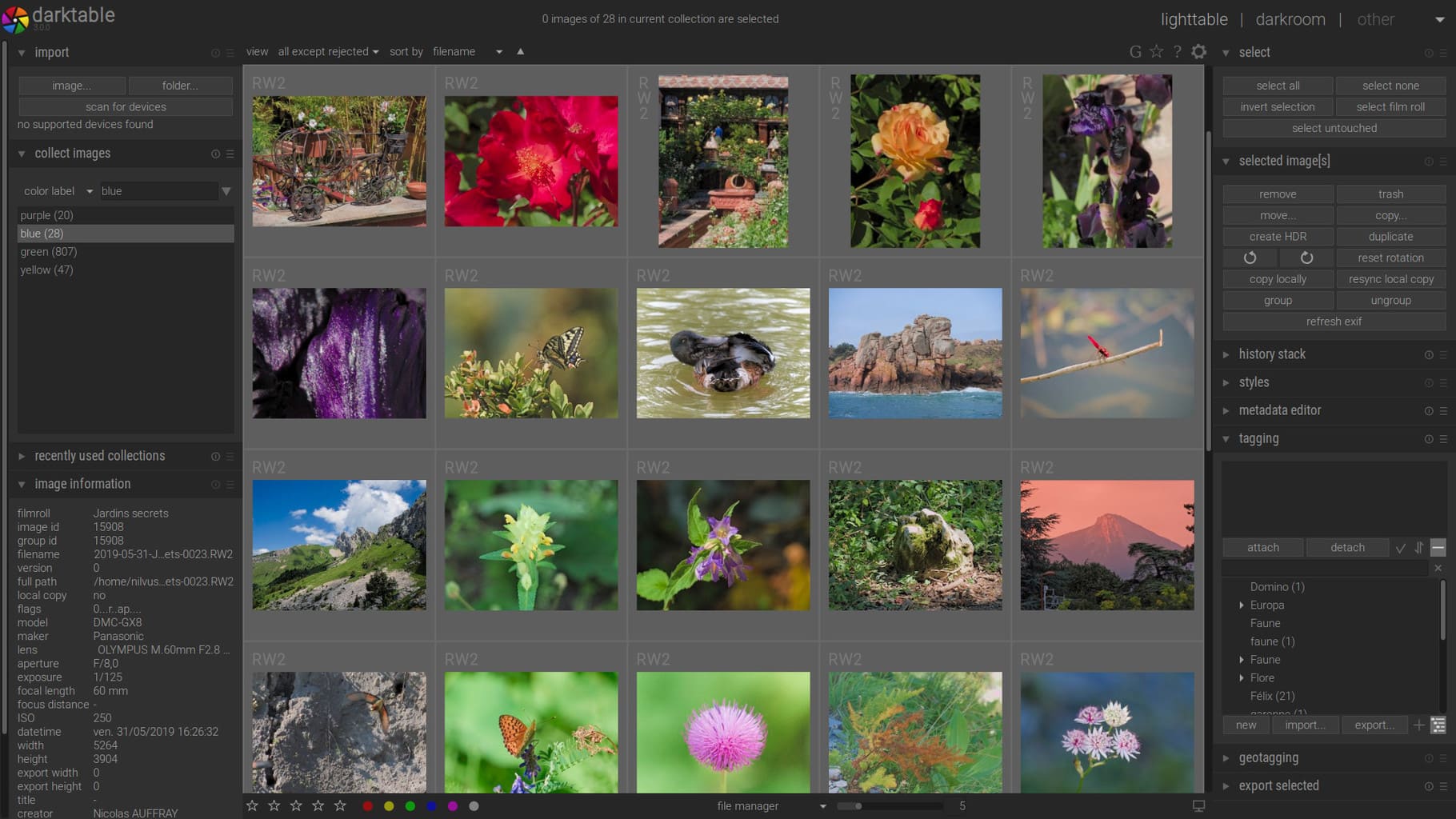 Captura de pantalla de la interfaz del editor de fotos Darktable