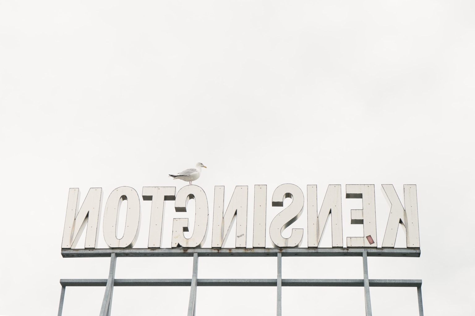 Pájaro posado sobre un letrero de letras blancas