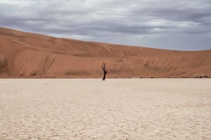 Paisaje para portada fotoreto 69 soledad